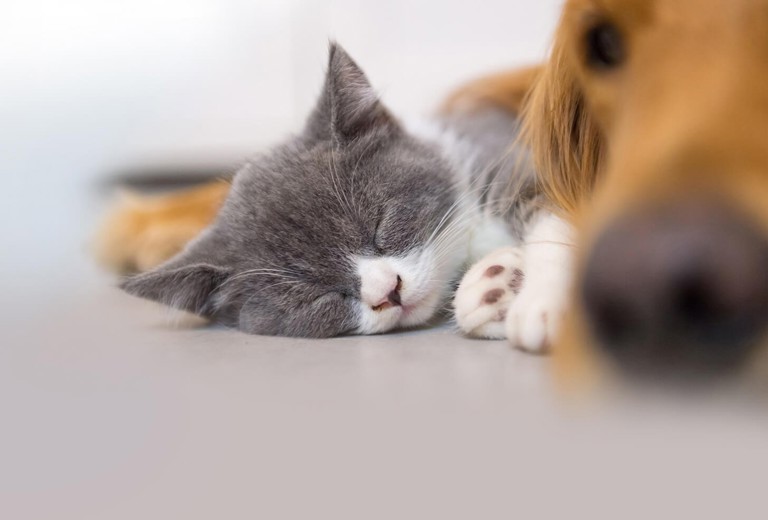 Biocontrol landing page